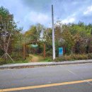 비슬목장 이미지