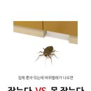 집에 혼자 있는데 바퀴벌레가 나오면 나는 ‘잡는다 vs 못 잡는다’ 이미지