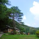 교동숲 이미지