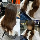 피자헛 청주가경본점 | 청주모발클리닉 잘하는곳 에릭마 가경터미널 본점에서 관리받은 후기