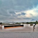 오션 아레나 이미지