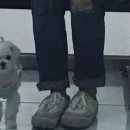 이앤박동물병원 이미지