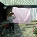 차평1리 이미지