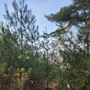 해송농장 이미지