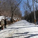 민주지산자연휴양림 이미지