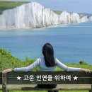 순수한인연 티스토리