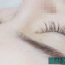 더제이뷰티 이미지
