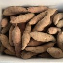 한얼농장 이미지