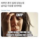 엔프피 이미지