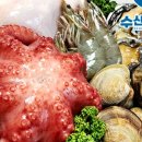 완도전복대장 이미지