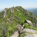 현대만물상 이미지