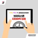 타이어판다 이미지