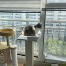 (주)파우제 이미지