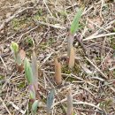 아이마당 이미지