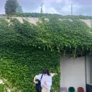 수수주택 | [제주] Day 1_제주 서부_수수주택, 인디고인디드