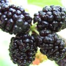 오디한의원 이미지