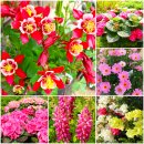 부천자연생태공원 이미지