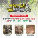 백제건강원 - 중구 잔디로9번길 6 | 백제건강원