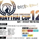 피노키오 복싱 이미지