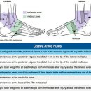 다나슬한의원 이미지