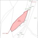 정선군 임계면 직원리 2차선도로와 계곡에 접한 생산관리지역 임( 현 전) 537평 이미지