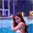맥심
