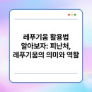 레푸기움 이미지