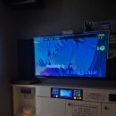 상어코인노래연습장 이미지