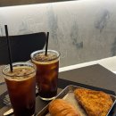 솔트스테인(Saltstain) 이미지