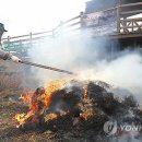 불탄도마을 이미지