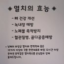 수지멸치국수