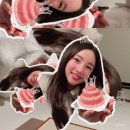 시스페어리 이미지