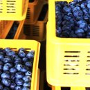 조제농장 이미지