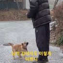 똥개를 만나는 10minutes 이미지