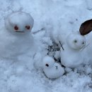 성연어린이집 차량1 | 장애 전담 어린이집 언어재활사 근무 후기 :: 장단점, 급여, 업무 등