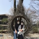 들밥 나들이 이미지