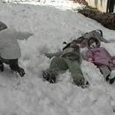 포라인정보 티스토리