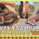 드디어 시작된 승마 수업(25.05.10~6.8) 첫 주 기록!