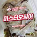 수원역에서 즐기는 탱글탱글 오징어회 미스터오징어 후기