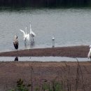 시화호수로4 이미지