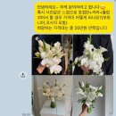 녹색플라워 | 🫧w19. 순천 본식 부케 후기: 시즌플라워스튜디오(@season_flowerstudio)