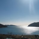 지세포 이미지