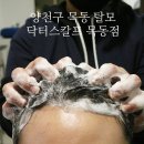 닥터스칼프목동점