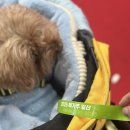 보라펫 | 2025 메가주 일산 펫페어 킨텍스 주차 및 후기