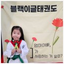 블랙이글 학익태권도장 이미지