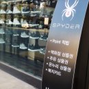스파이더수원