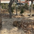 전농로터리 | 전농 시장 맛집 백반 어머니의 고등어