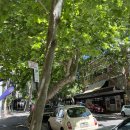 오리지날 백패커스 이미지