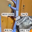 로븐 | 브라이튼 캐리어 내돈내산ㅣ여행용 24인치 사이즈 추천