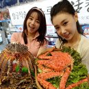 (주)바다플러스 이미지